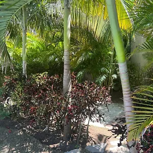  Apartment Residencial Mediterraneo Dominican Republic