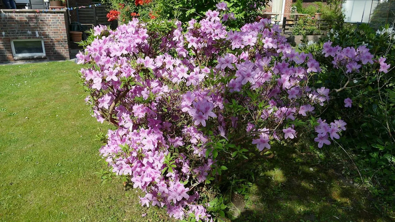 Privatzimmer Hamburg Alsterdorf Homestay