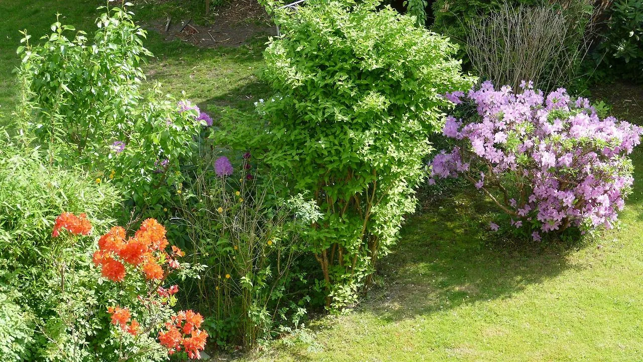 Privatzimmer Hamburg Alsterdorf